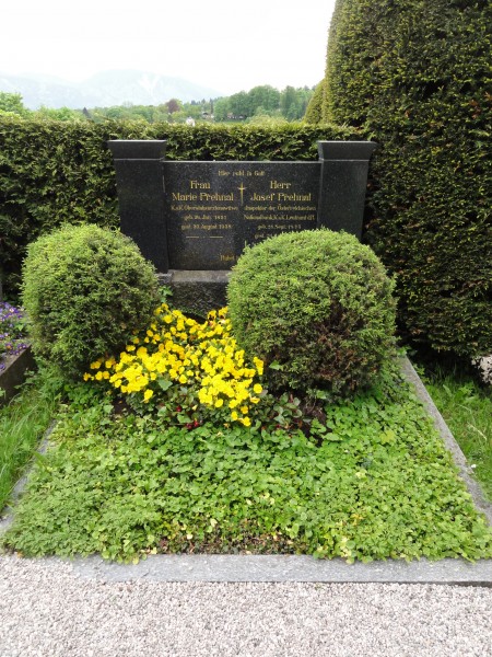 Murnau 20130519 Mattes (40)