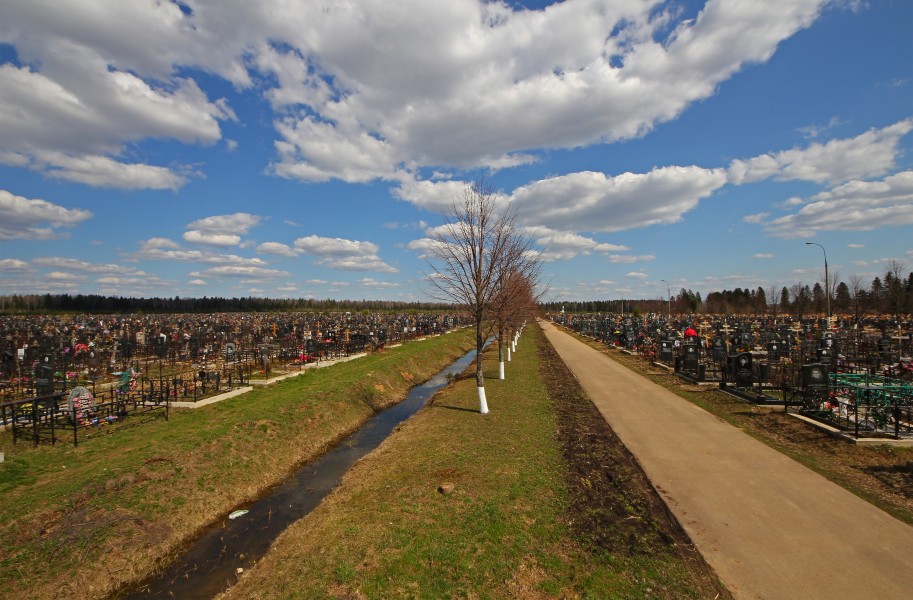 Perepechinskoe04