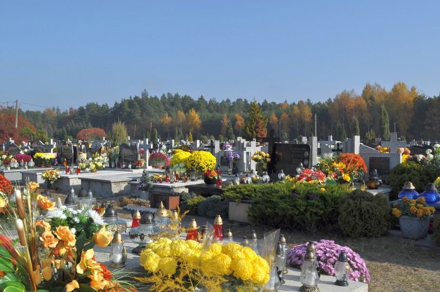 PL - Mielec - cmentarz komunalny - 2011-11-02 - 003