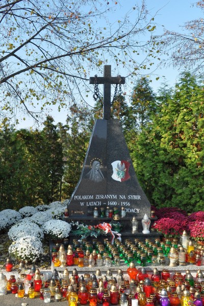 PL - Mielec - cmentarz komunalny - 2011-11-02 - 015 cr cr
