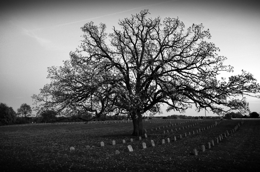Sacred Ground (6252975068)
