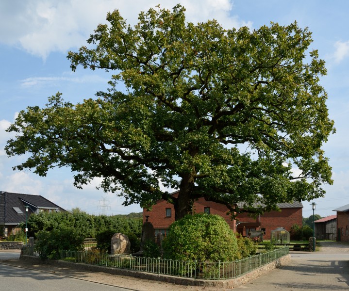 Schleswig-Holstein, Pöschendorf, Ehrenmal NIK 9743