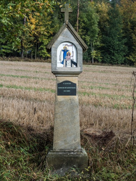 Seigelstein-Marienweg-PA230045