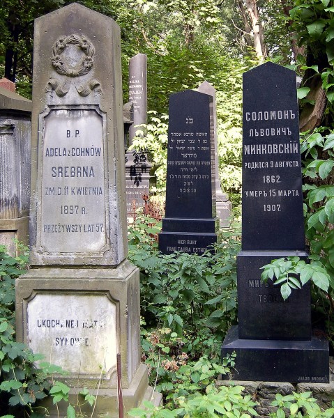 Warsaw Okopowa Jewish Cementery 1