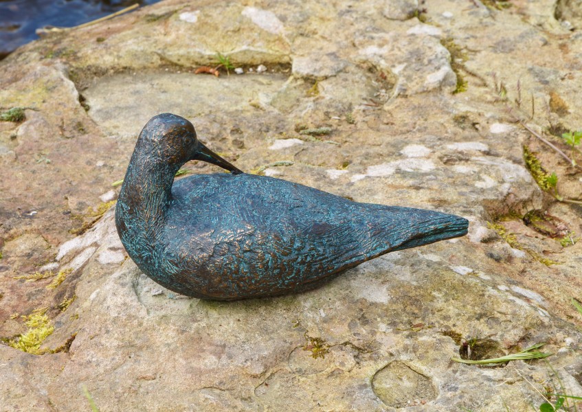 Wasserläufer sich putzend - Atelier Strassacker