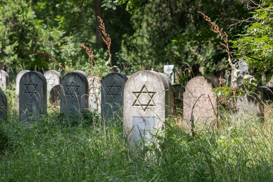 Wien, Zentralfriedhof, Alter Jüdischer Friedhof -- 2018 -- 3220