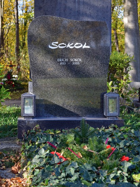 Wiener Zentralfriedhof - Gruppe 40 - Grab von Erich Sokol