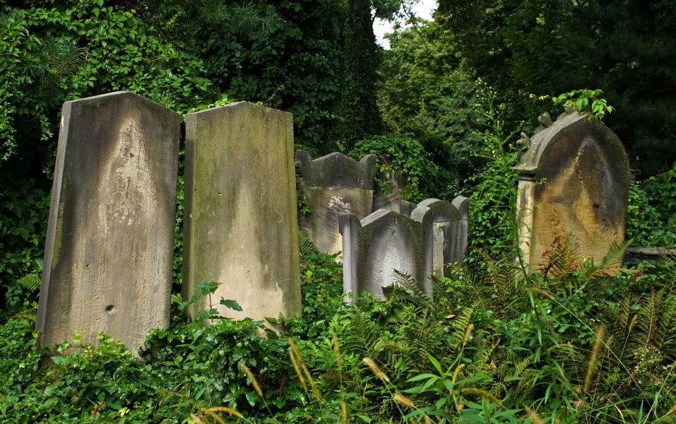 Wroclaw Old Jewish Cemetery IMGP7160