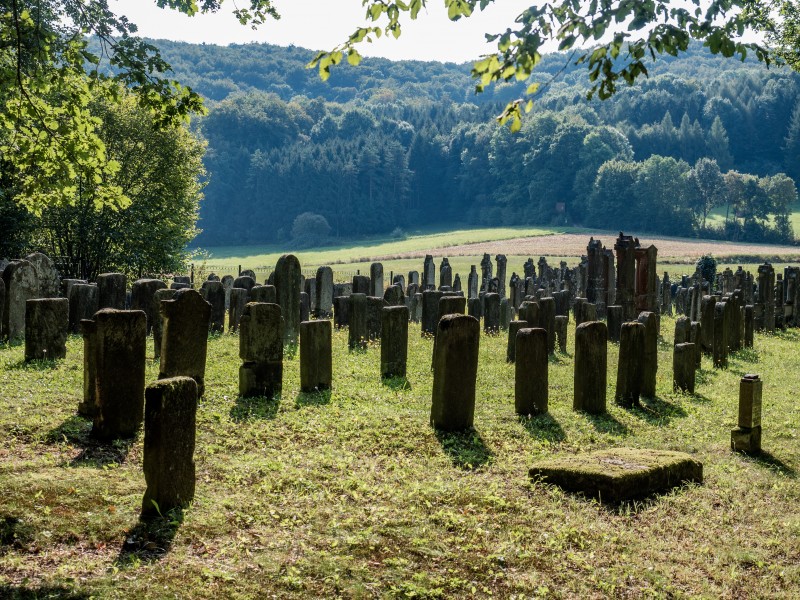 Zeckendorf-Judenfriedhof-9110059