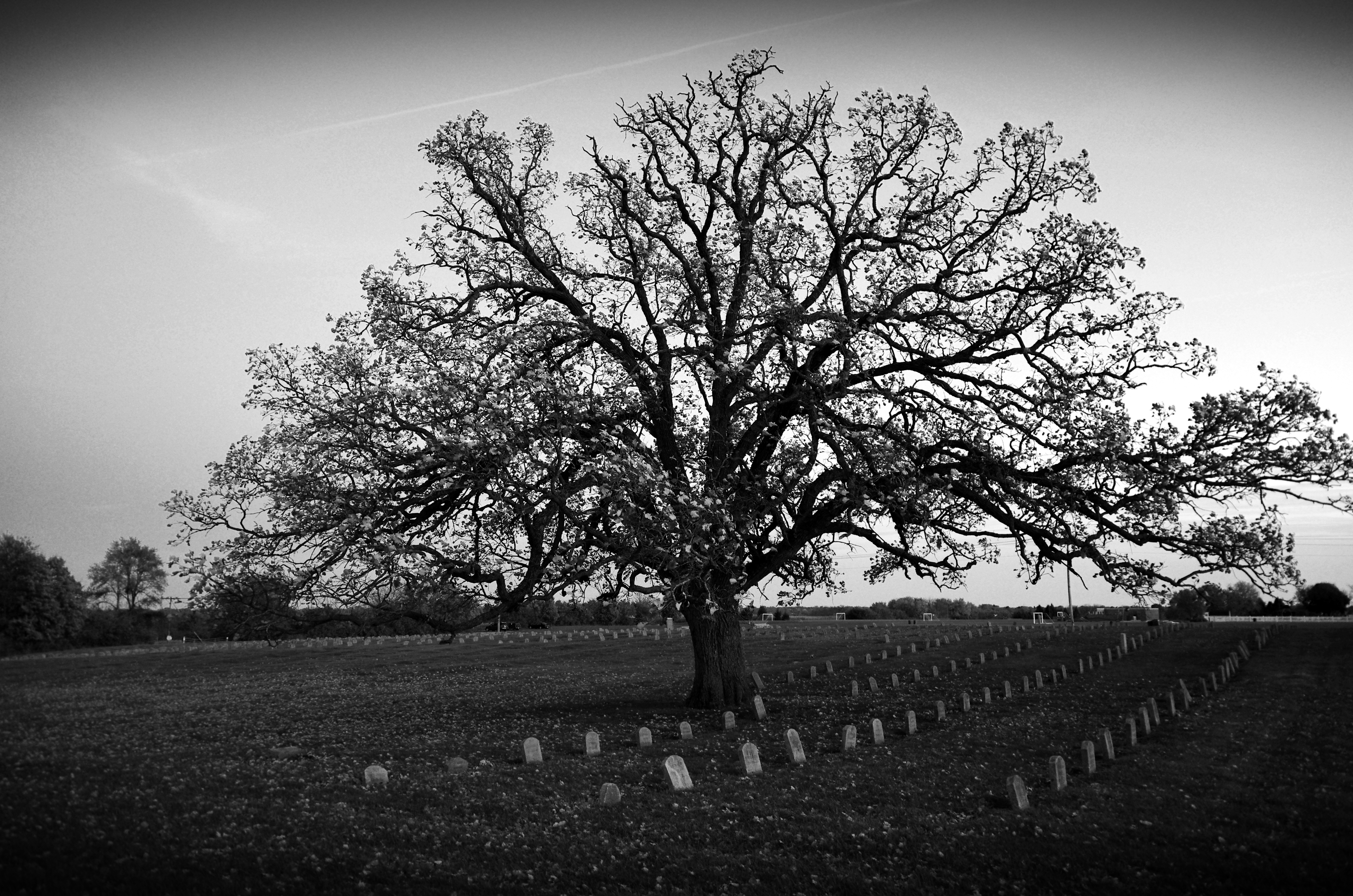 Sacred Ground (6252975068)