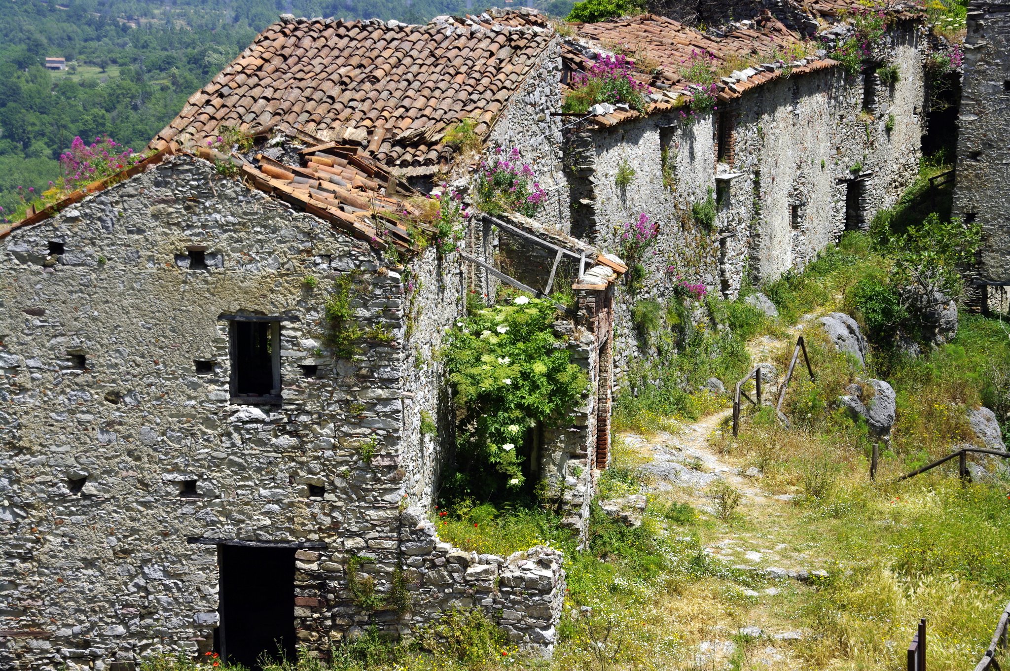San-Severino-di-Centola