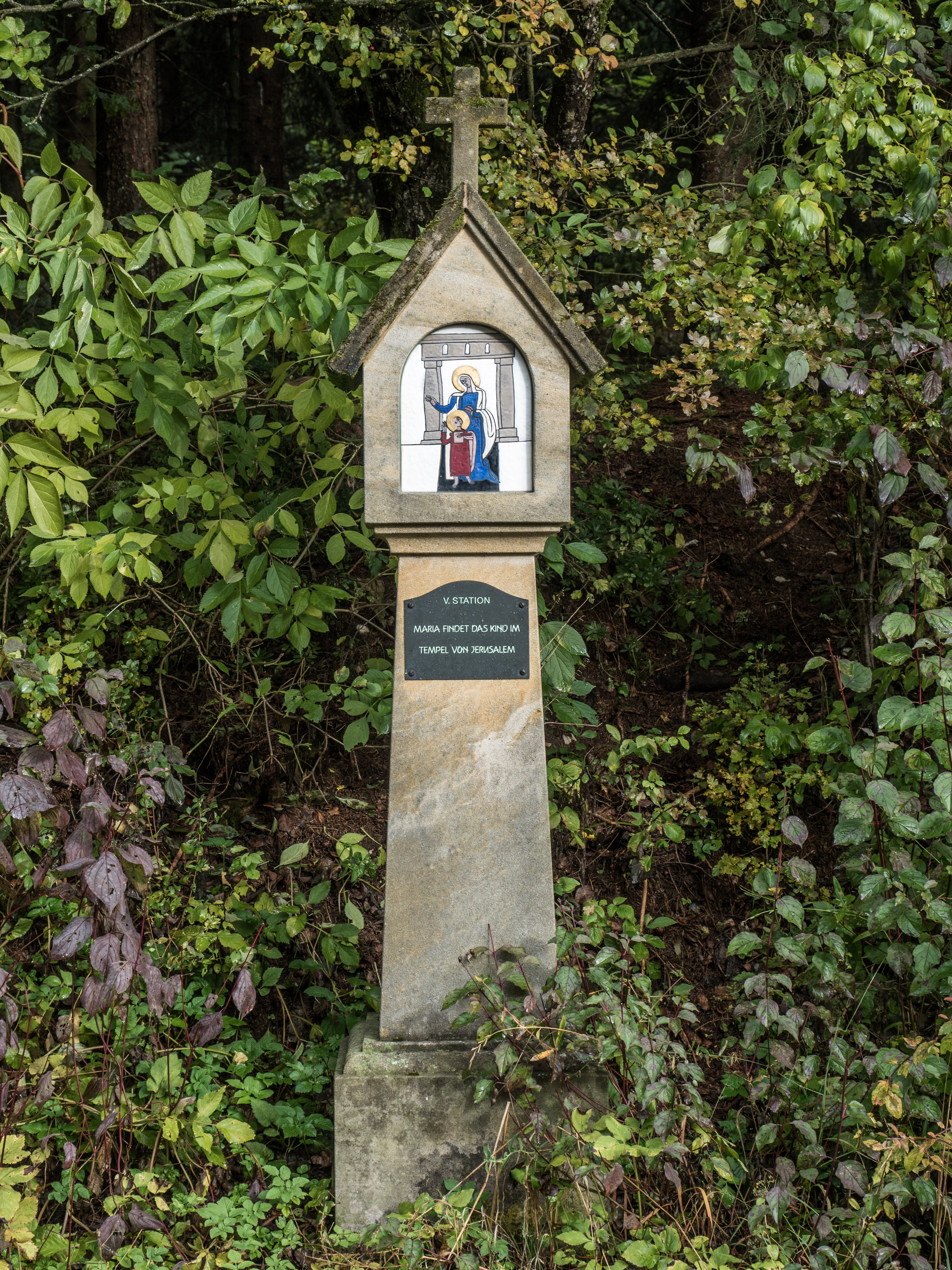 Seigelstein-Marienweg-PA230044
