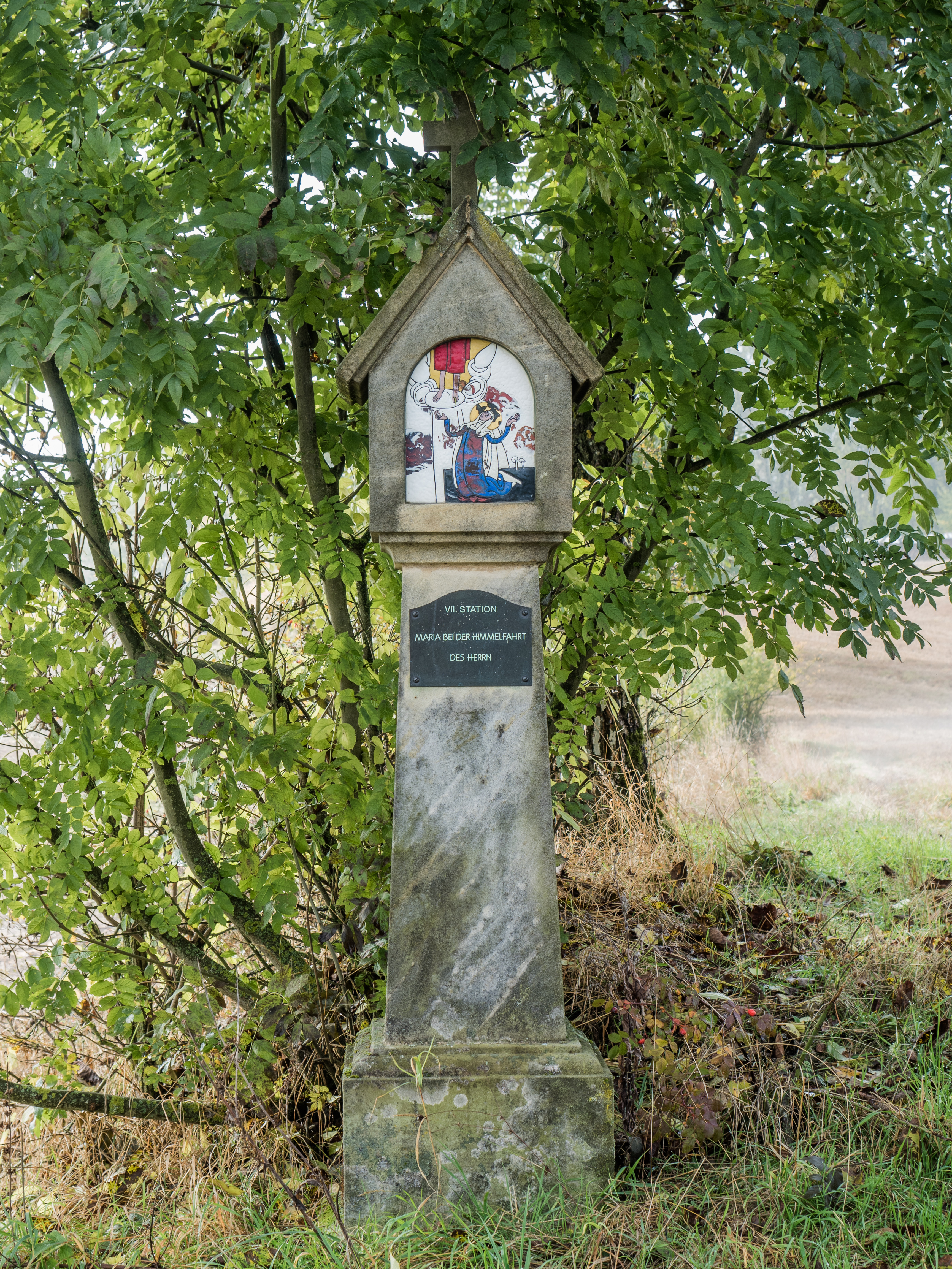 Seigelstein-Marienweg-PA230048