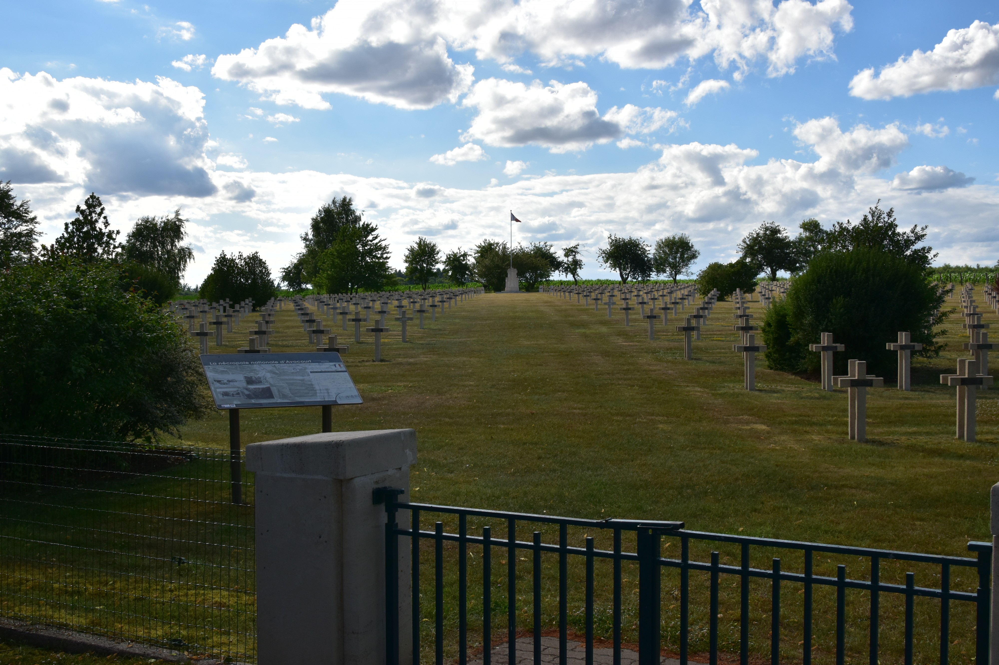 Allée centrale - Nécropole d'Avocourt