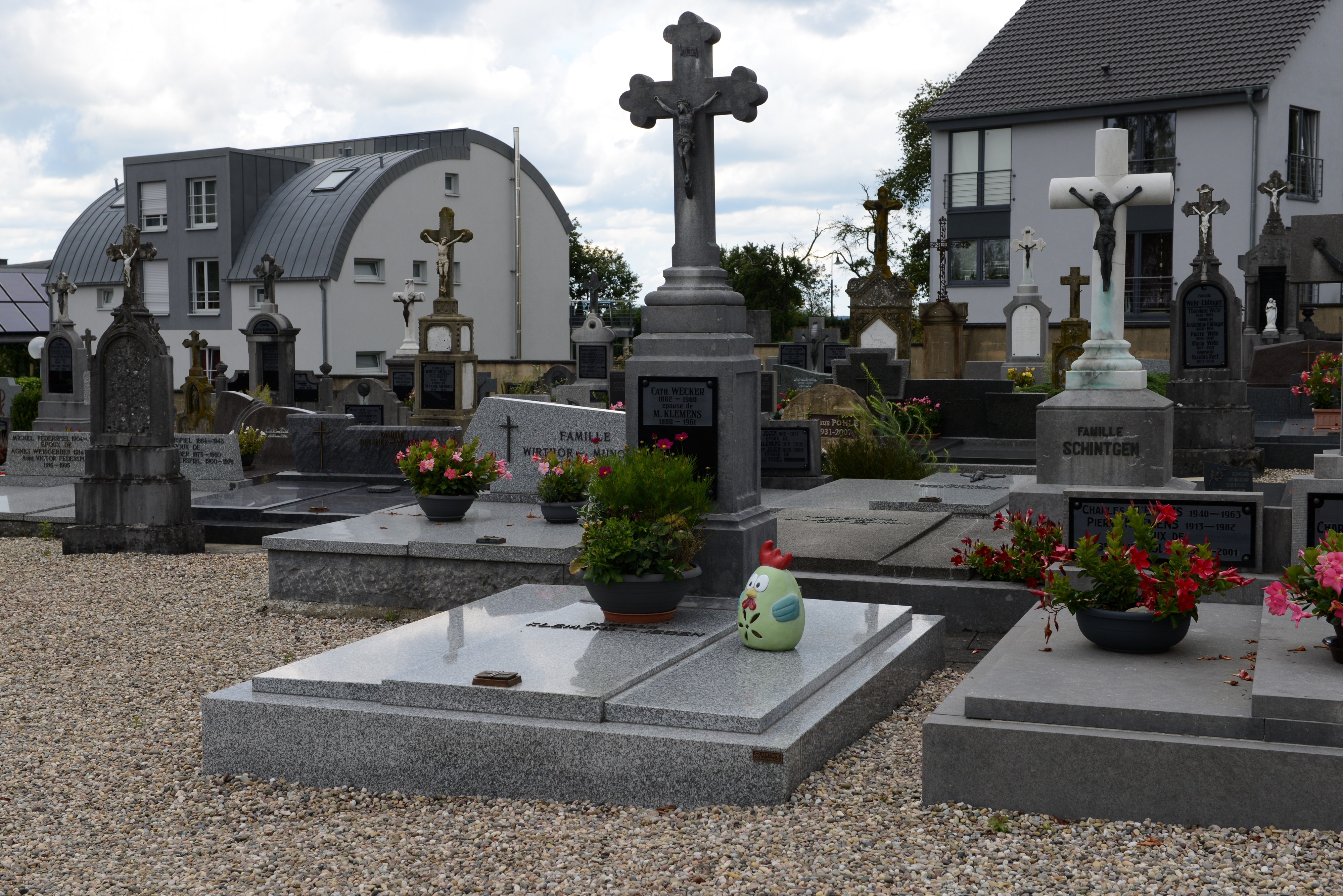 Blaaschent, Kierfecht