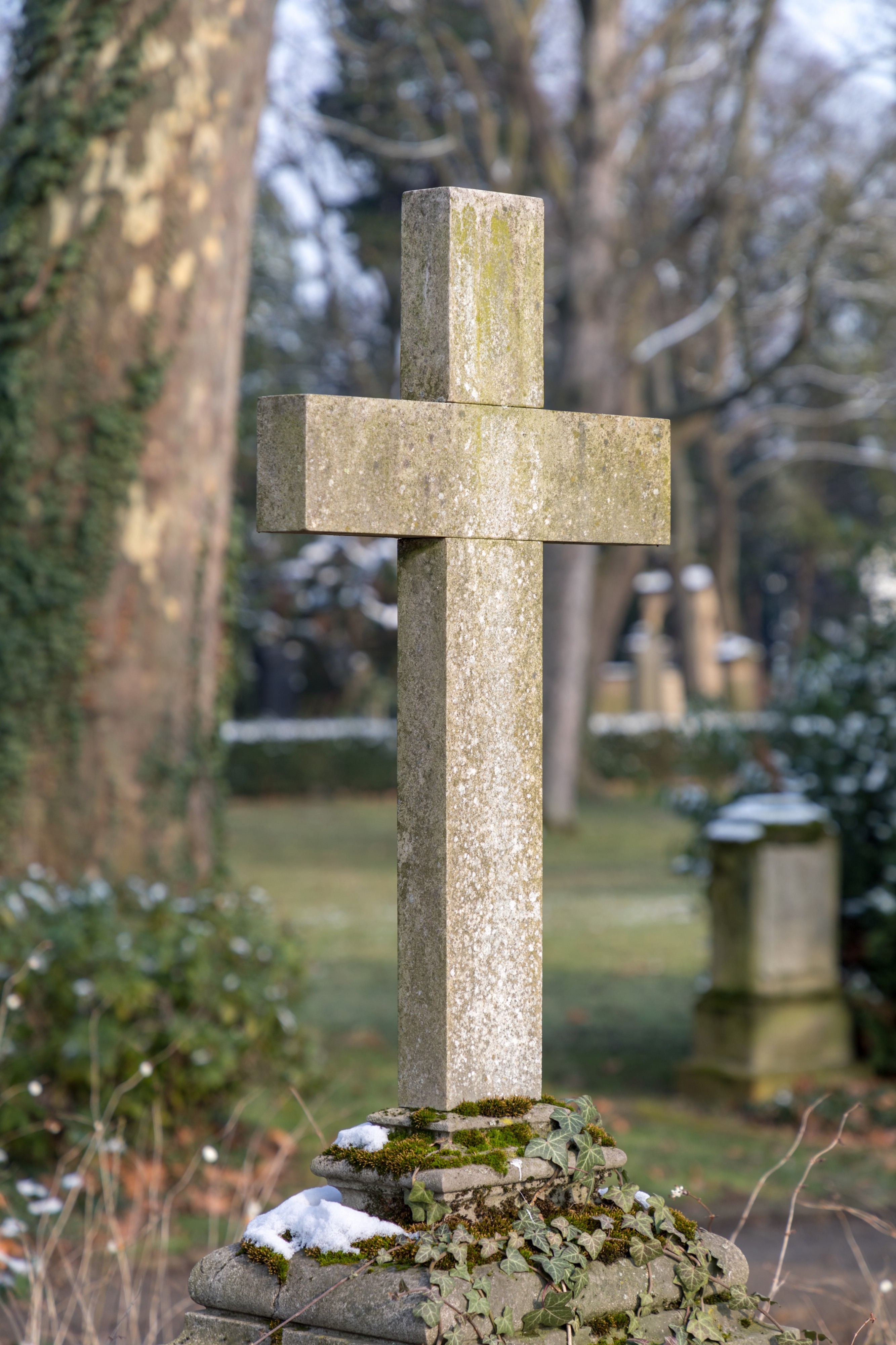 Bonn, Alter Friedhof -- 2018 -- 0842