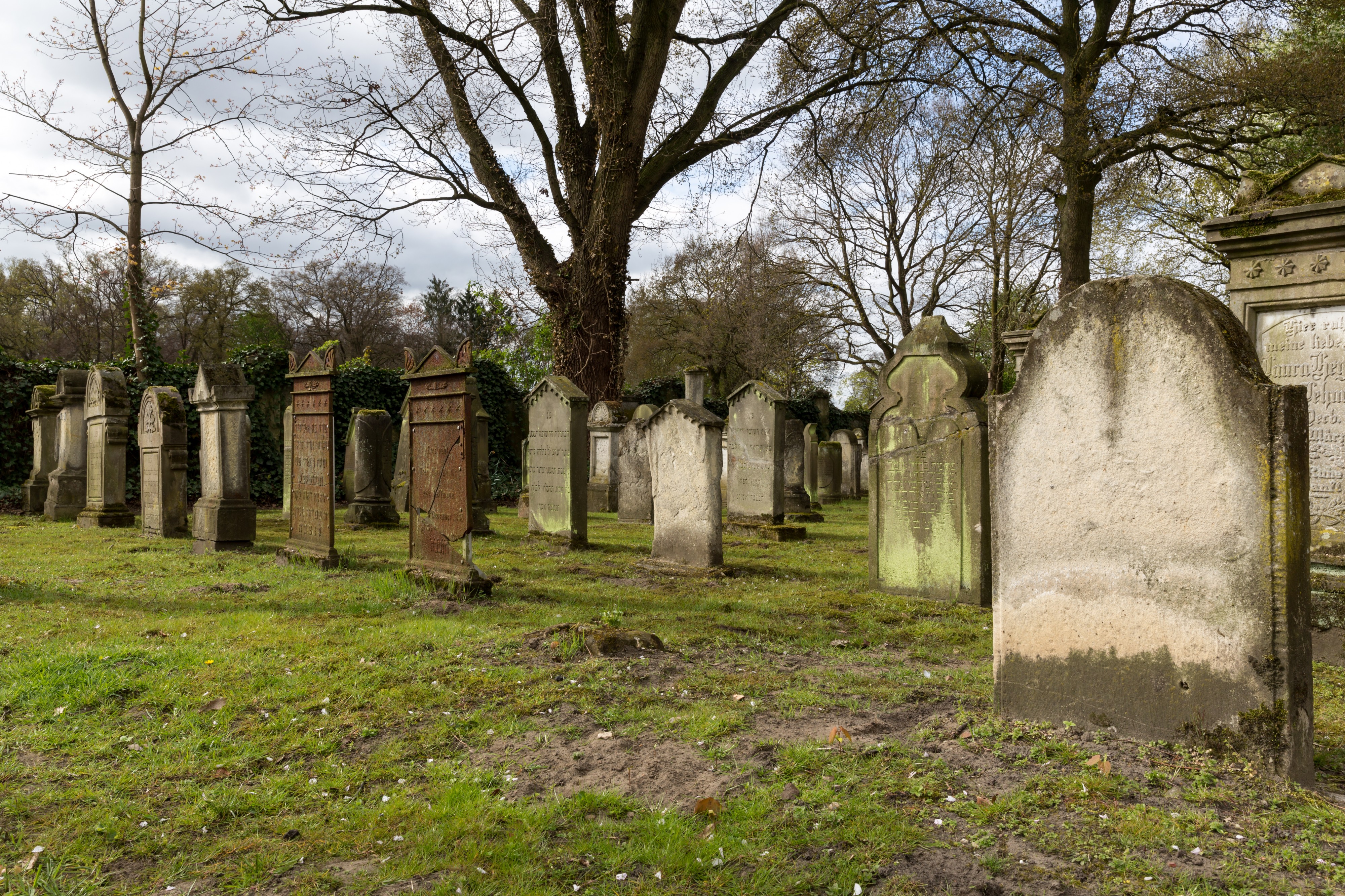 Dülmen, Jüdischer Friedhof -- 2017 -- 6811