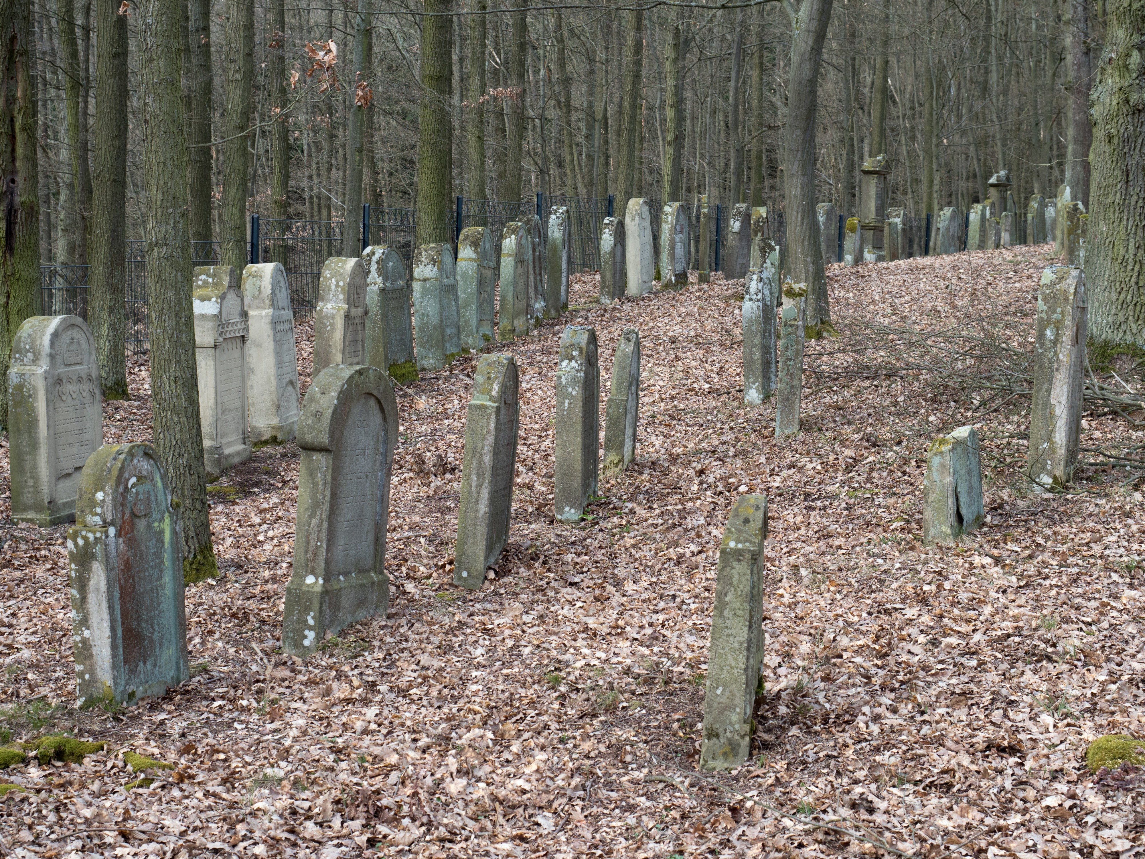 Limbach Judenfriedhof 3300449