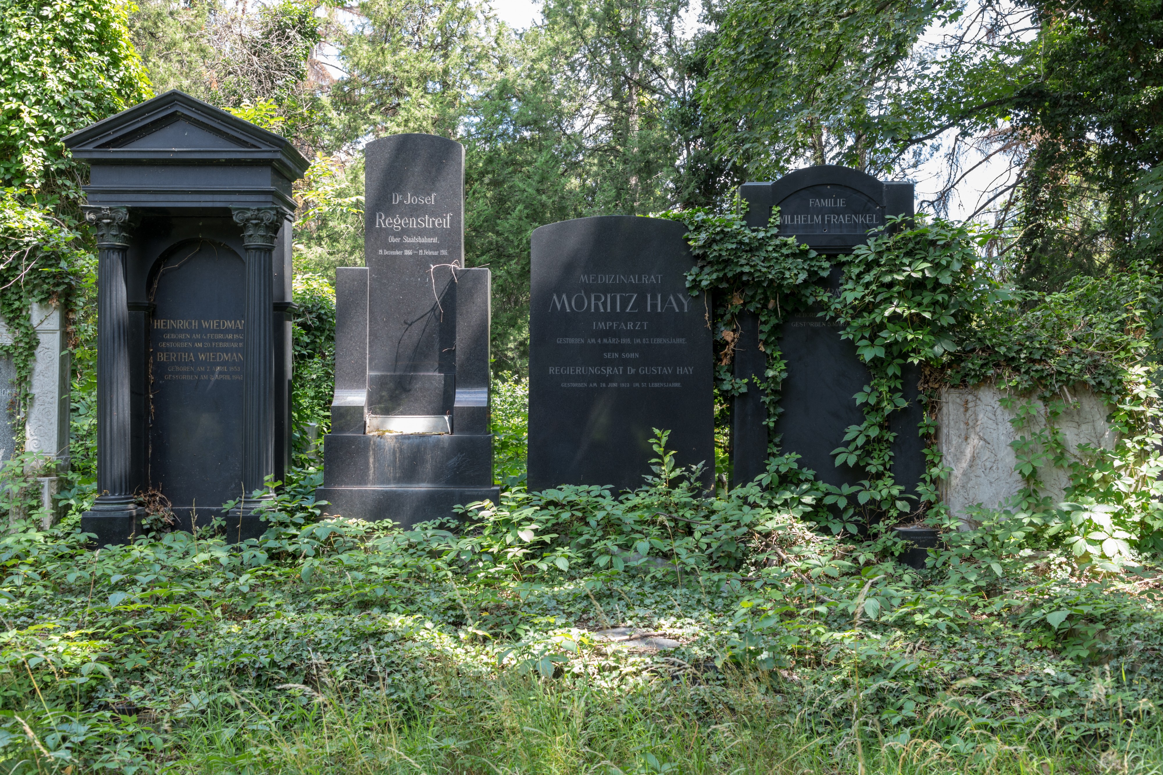 Wien, Zentralfriedhof, Alter Jüdischer Friedhof -- 2018 -- 3216