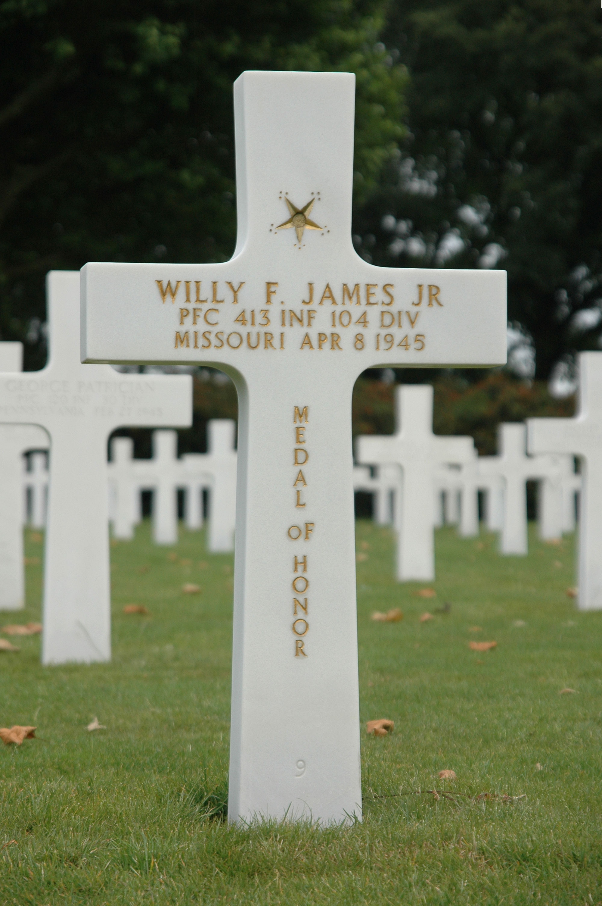 Willy James grave