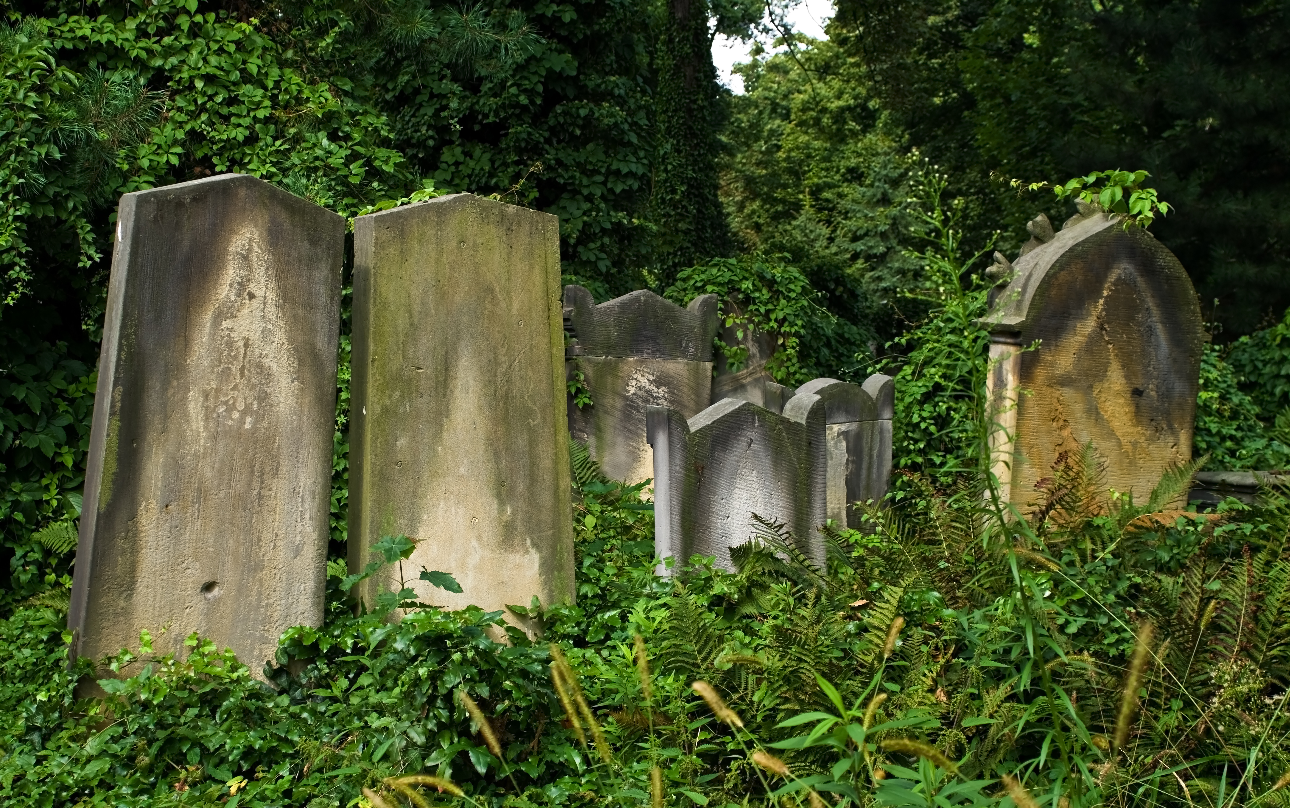 Wroclaw Old Jewish Cemetery IMGP7160