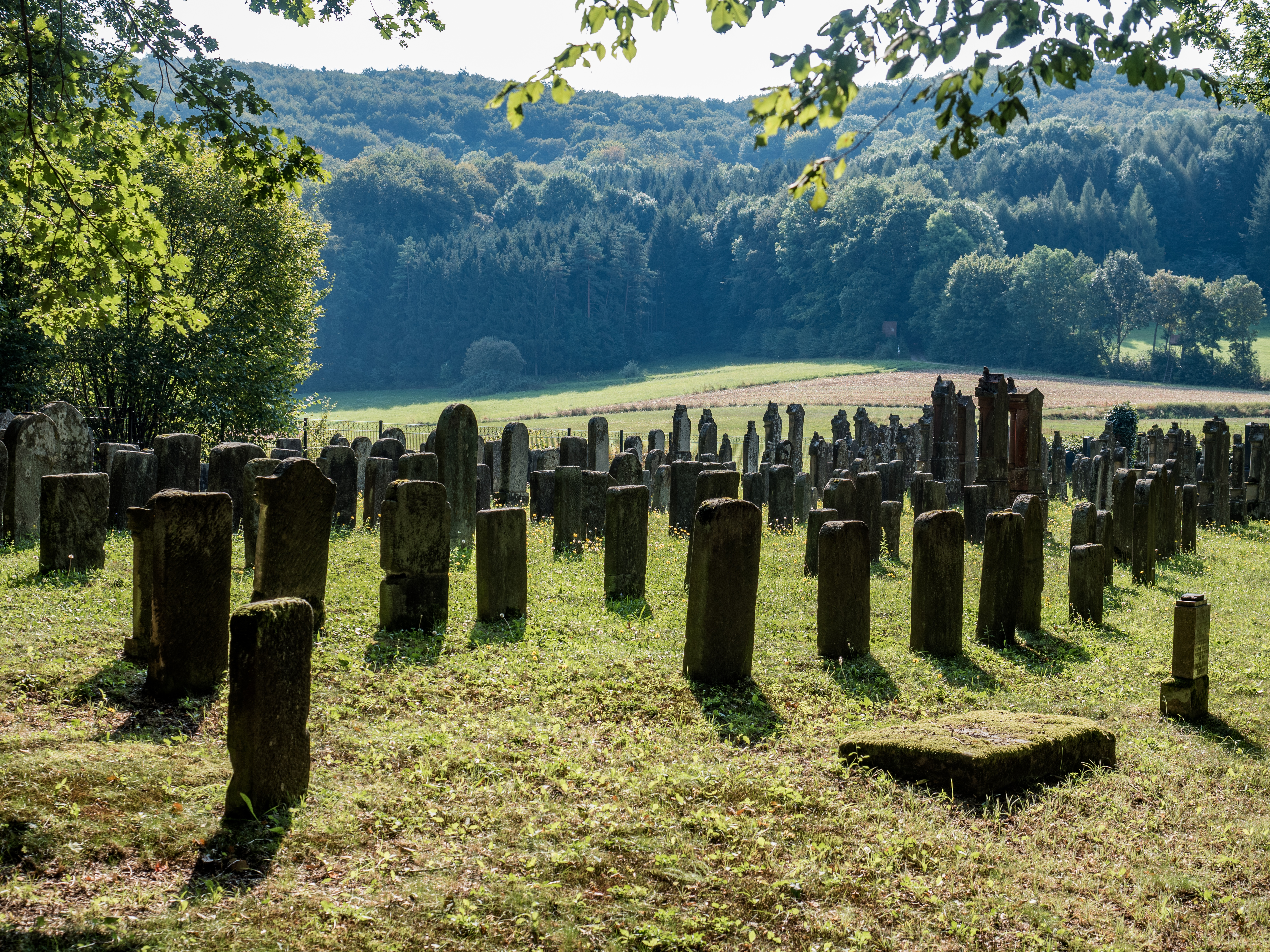 Zeckendorf-Judenfriedhof-9110059