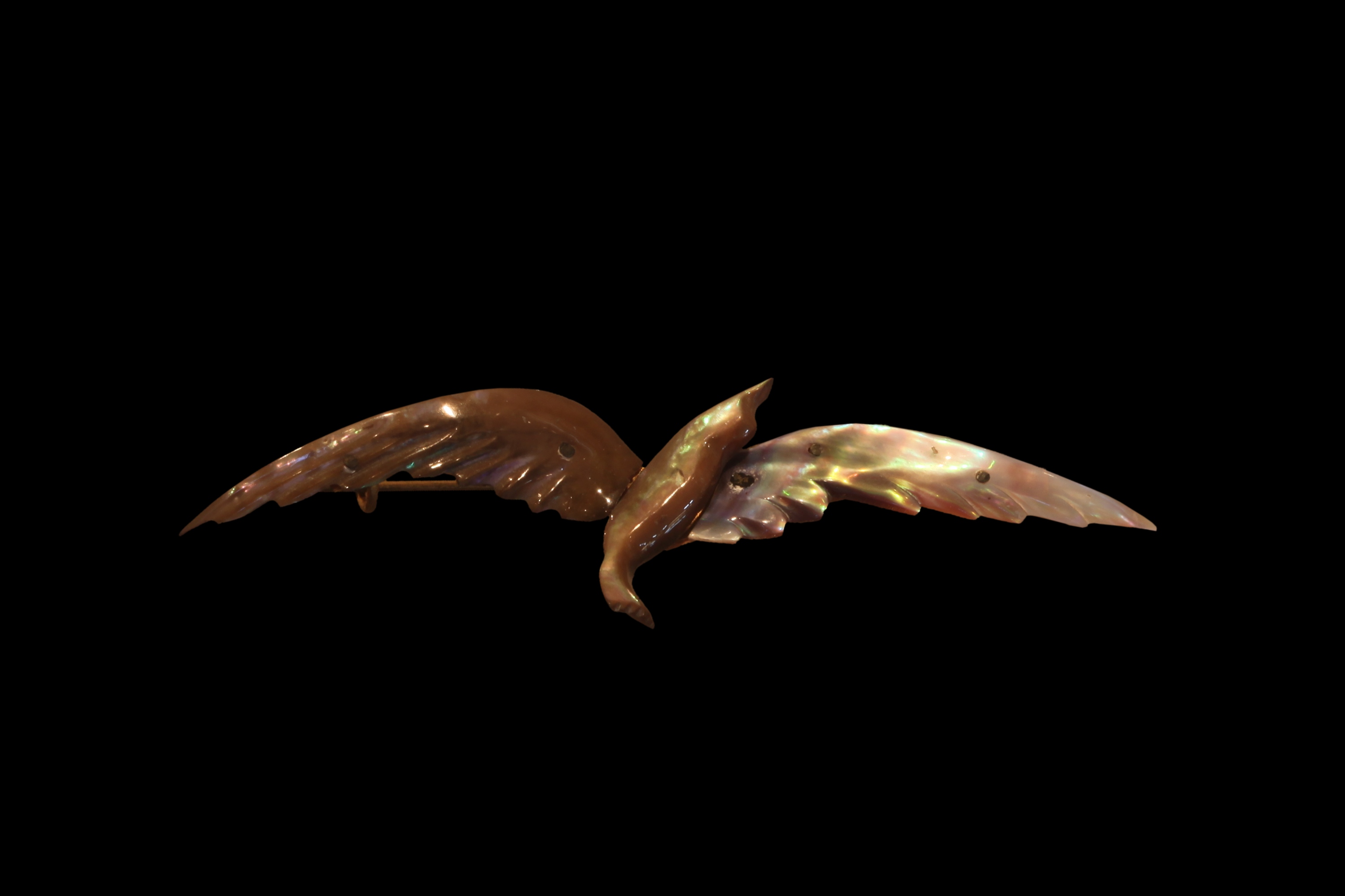 Bird jewel-IMG 1842