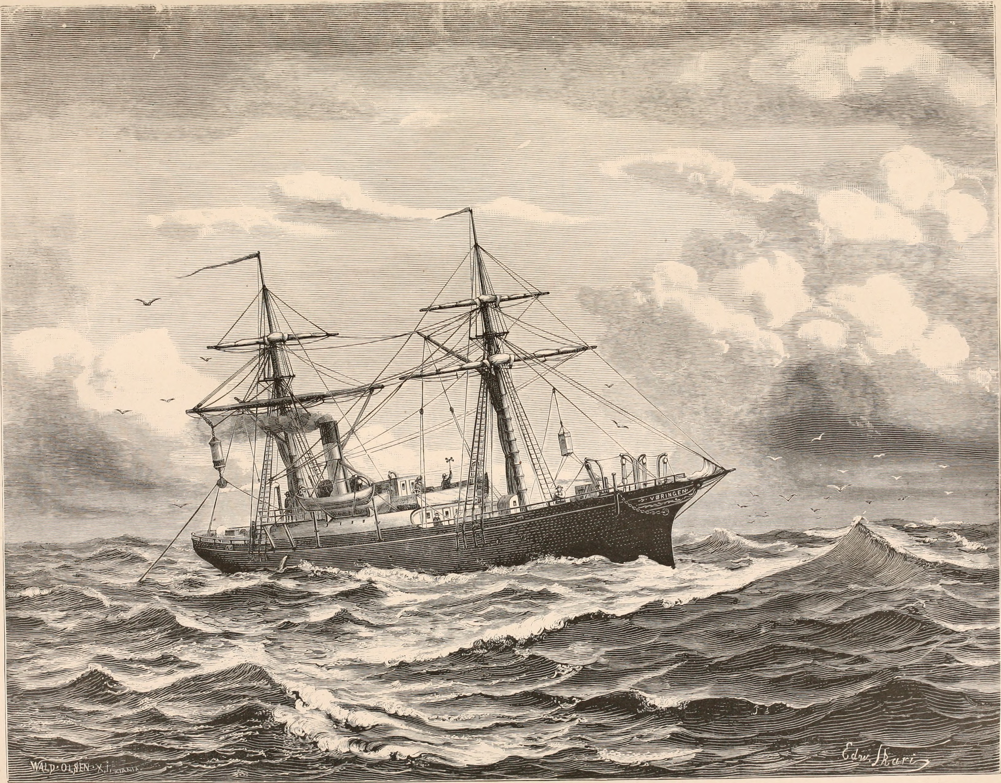 Den Norske Nordhavs-expedition, 1876-1878 (1880-1901) (20849373292)