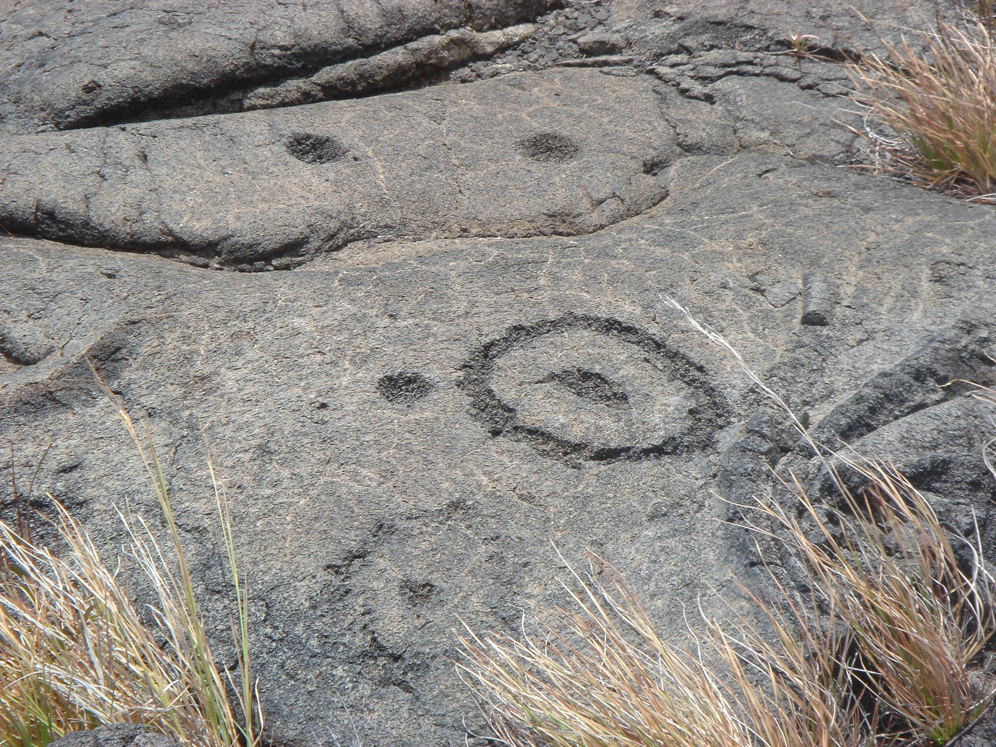Hawaii petroglyph shapes