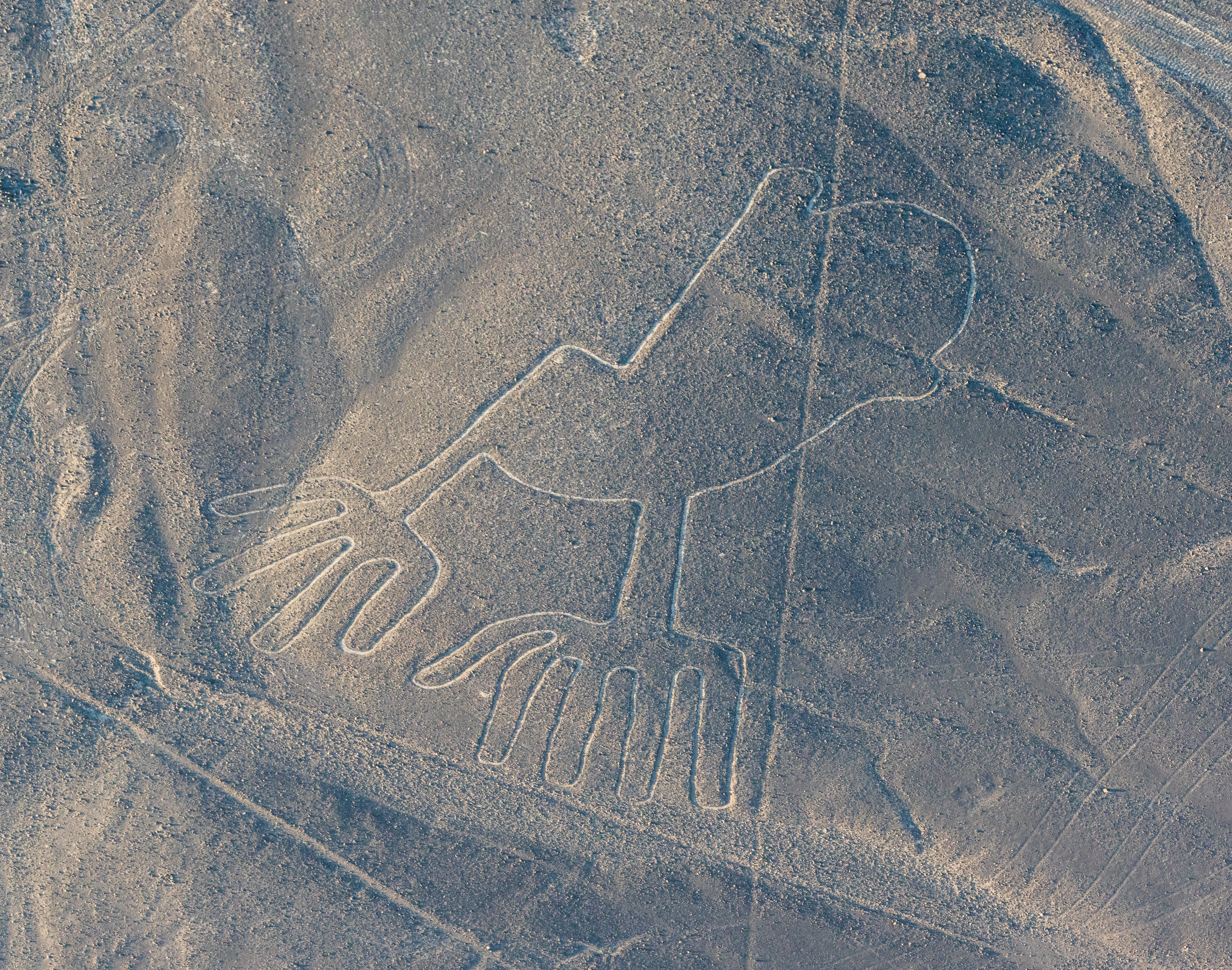 Líneas de Nazca, Nazca, Perú, 2015-07-29, DD 62