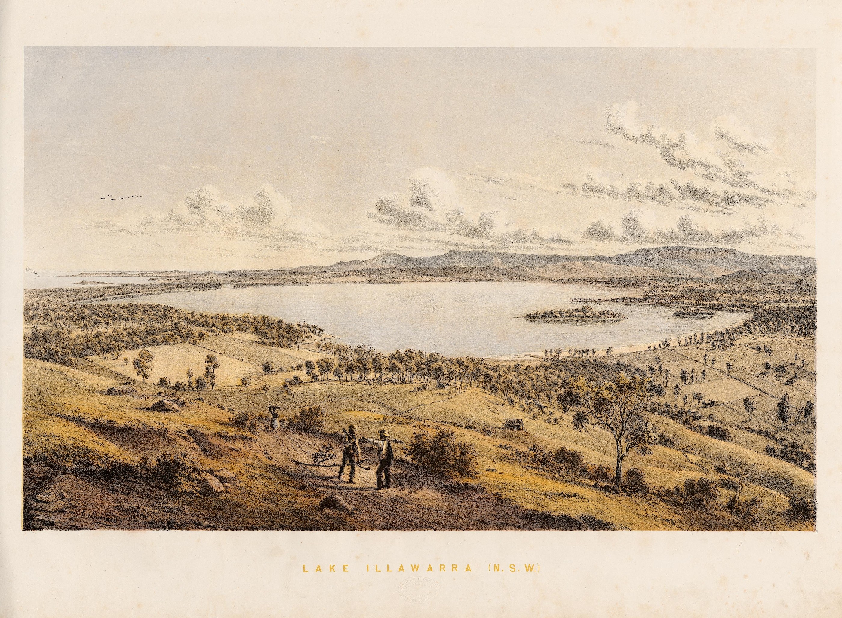 Lake Illawarra NSW
