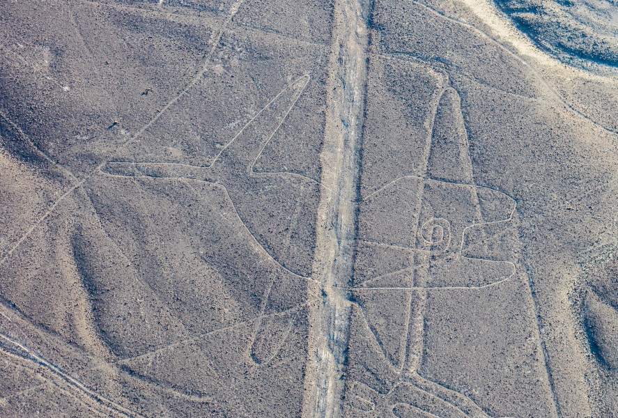 Líneas de Nazca, Nazca, Perú, 2015-07-29, DD 39