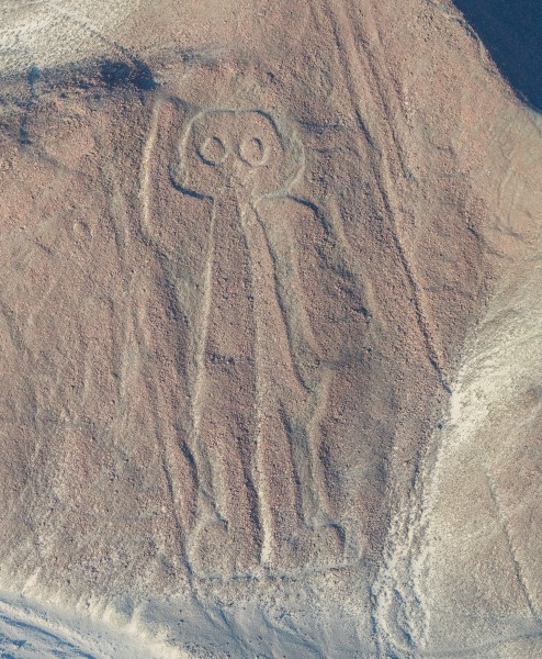Líneas de Nazca, Nazca, Perú, 2015-07-29, DD 46