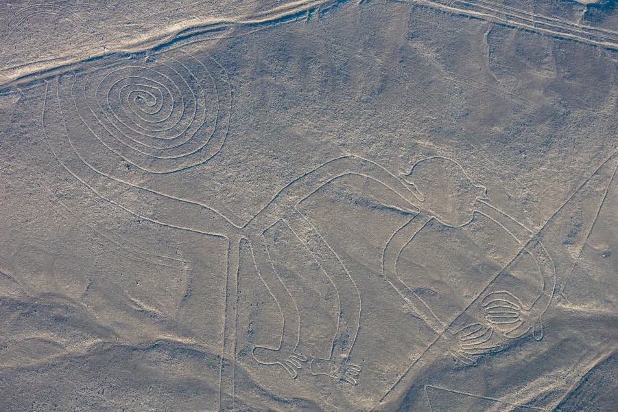 Líneas de Nazca, Nazca, Perú, 2015-07-29, DD 49