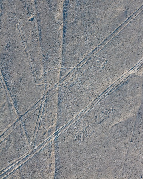Líneas de Nazca, Nazca, Perú, 2015-07-29, DD 50