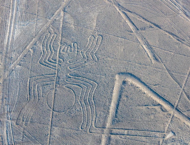 Líneas de Nazca, Nazca, Perú, 2015-07-29, DD 54