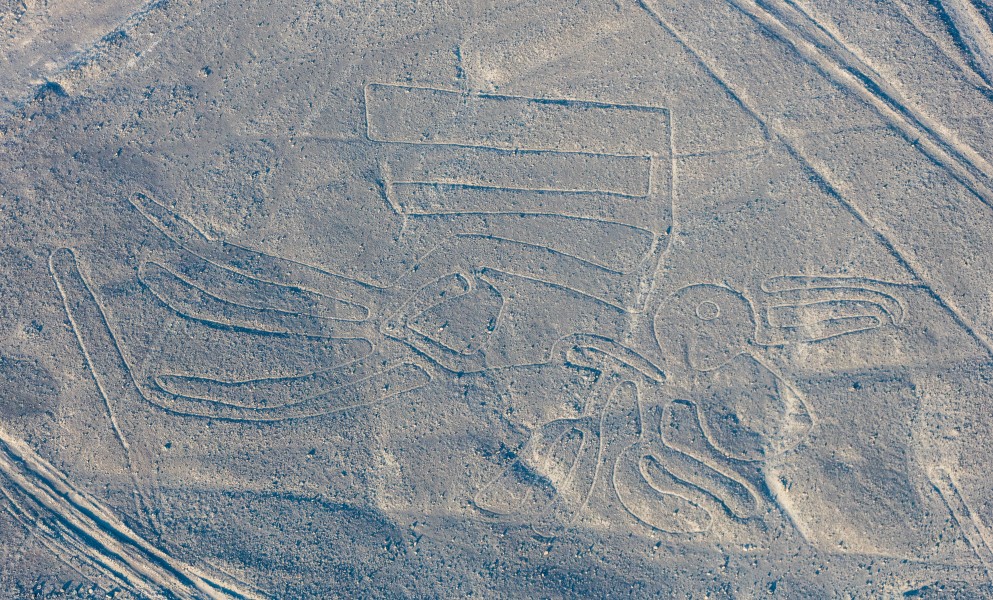 Líneas de Nazca, Nazca, Perú, 2015-07-29, DD 58