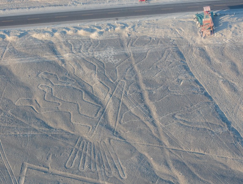 Líneas de Nazca, Nazca, Perú, 2015-07-29, DD 61