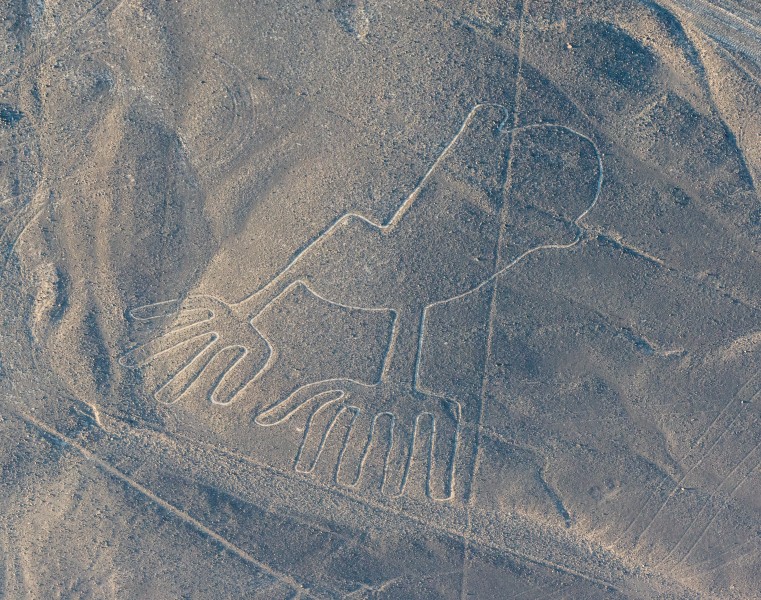 Líneas de Nazca, Nazca, Perú, 2015-07-29, DD 62