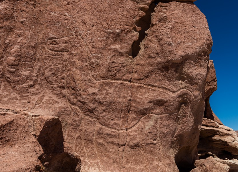 Petroglifos de Hierbas Buenas, Río Grande, Chile, 2016-02-05, DD 01