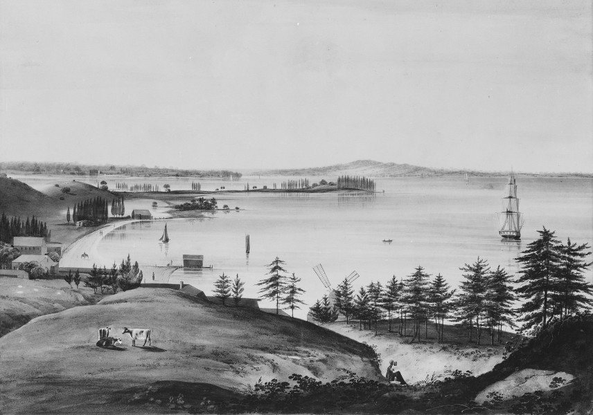 The Bay of New York Looking to the Narrows and Staten Island, Taken from Brooklyn Heights MET ap54.90.161