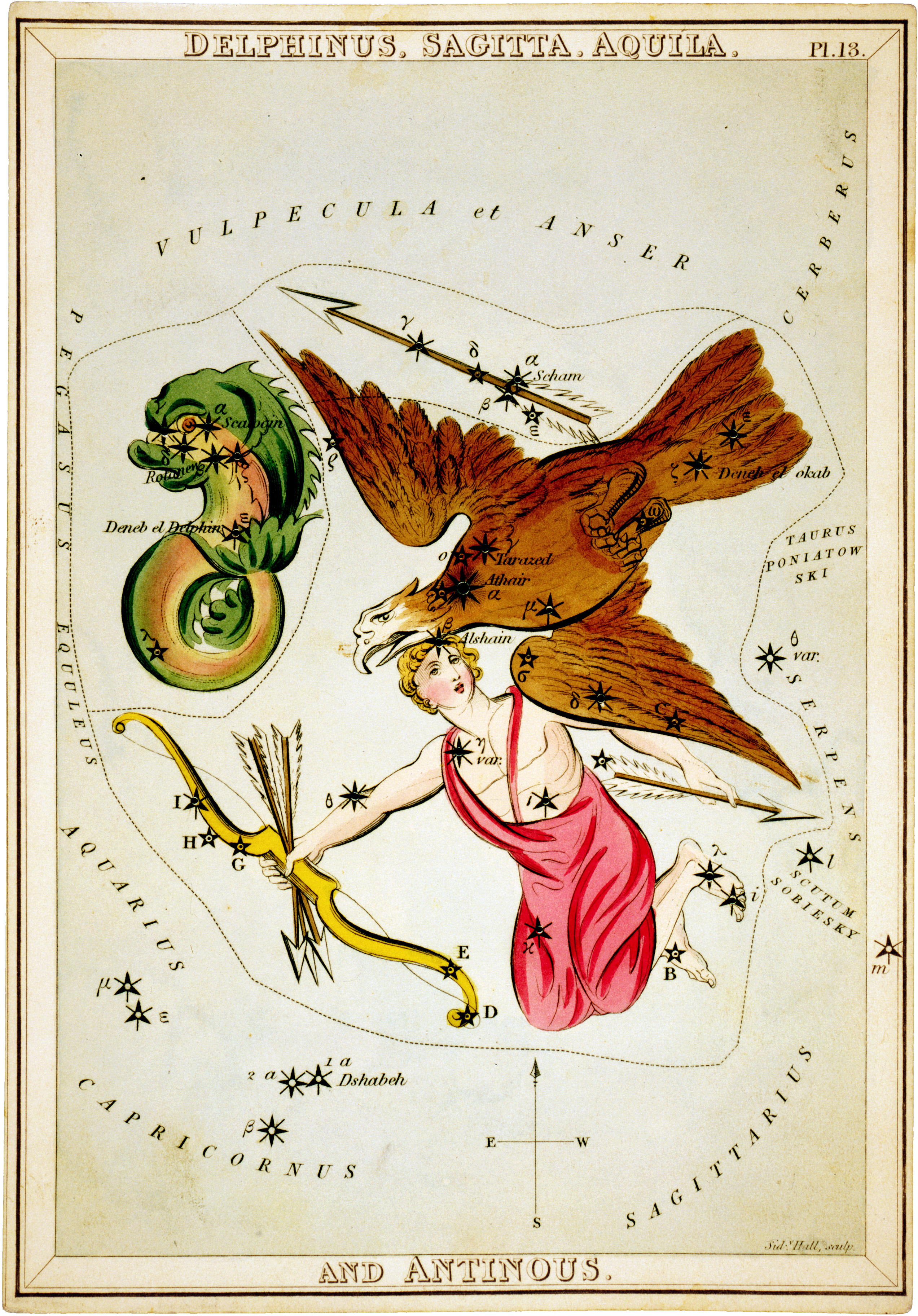 Sidney Hall, Delphinus, Sagitta, Aquila, and Antinous, 1825