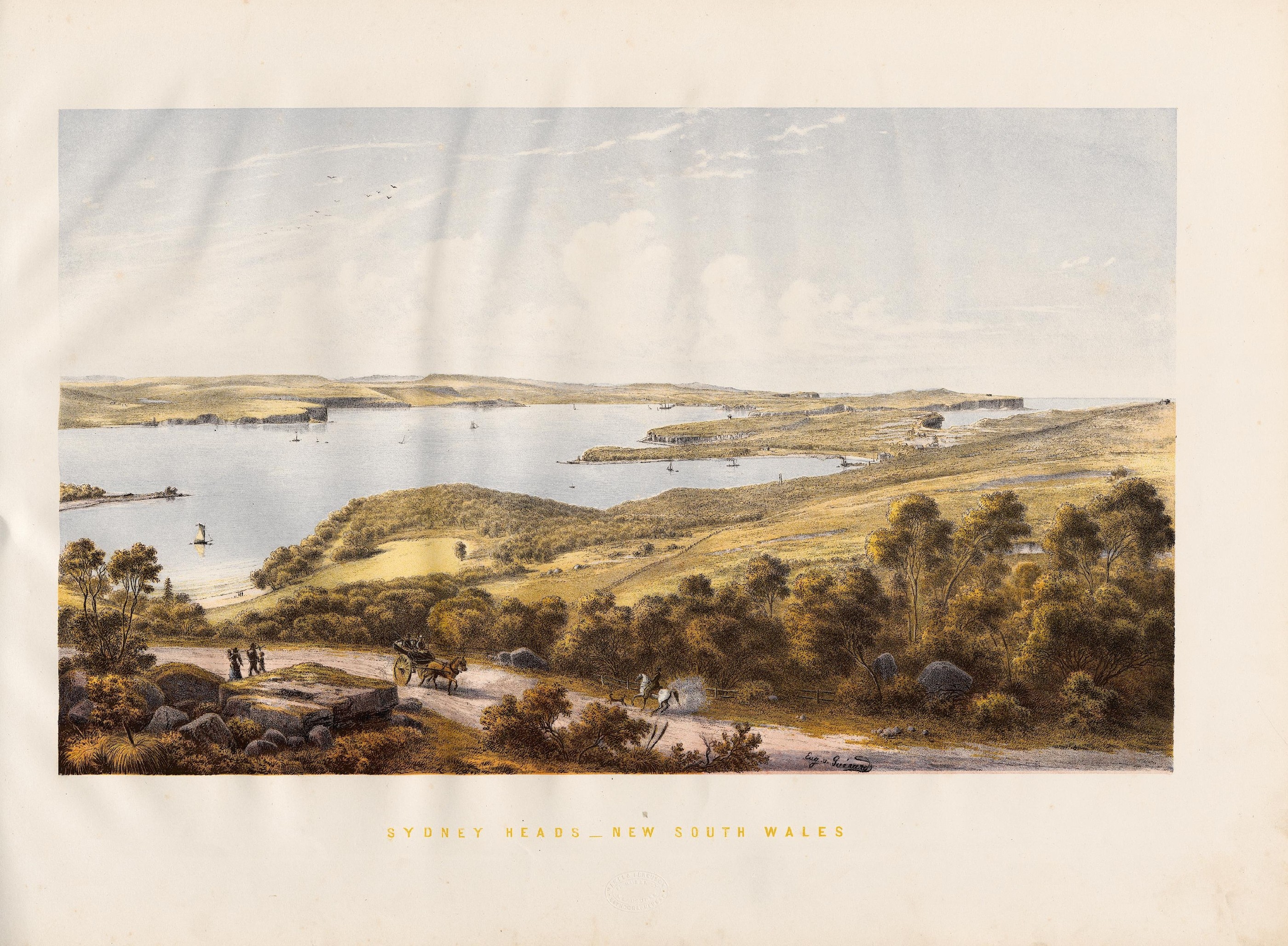 Sydney Heads (NSW)