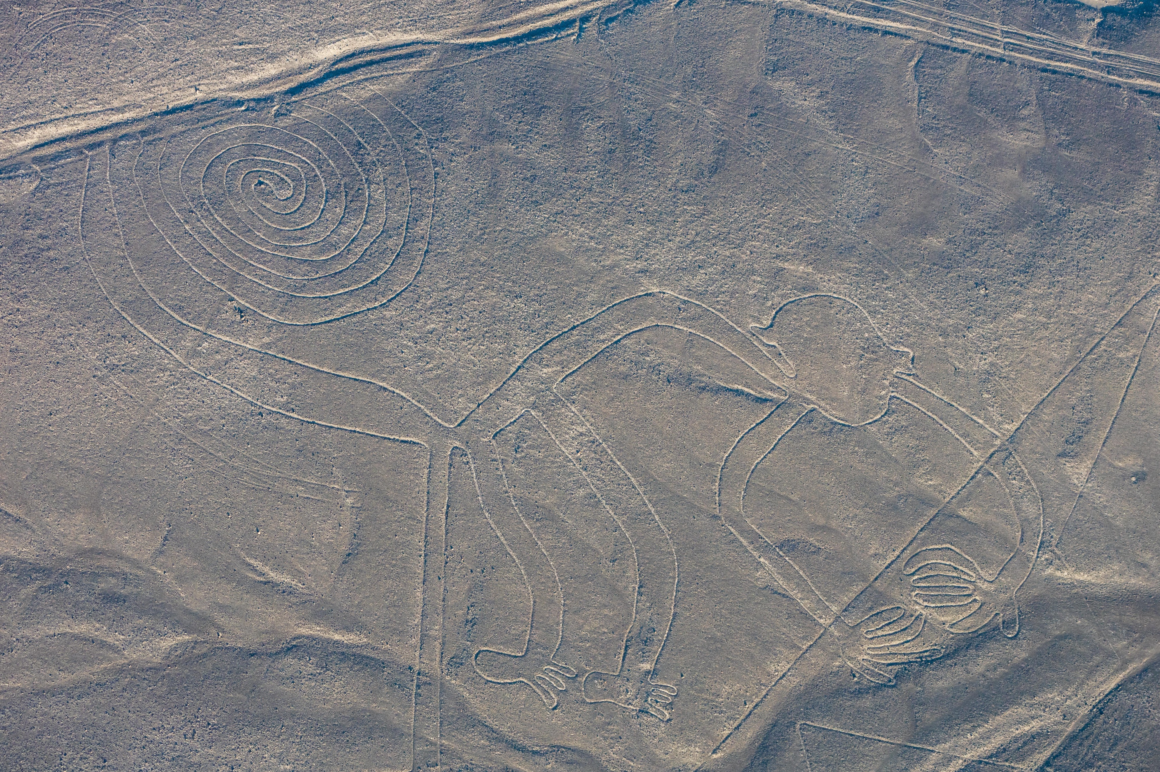 Líneas de Nazca, Nazca, Perú, 2015-07-29, DD 49