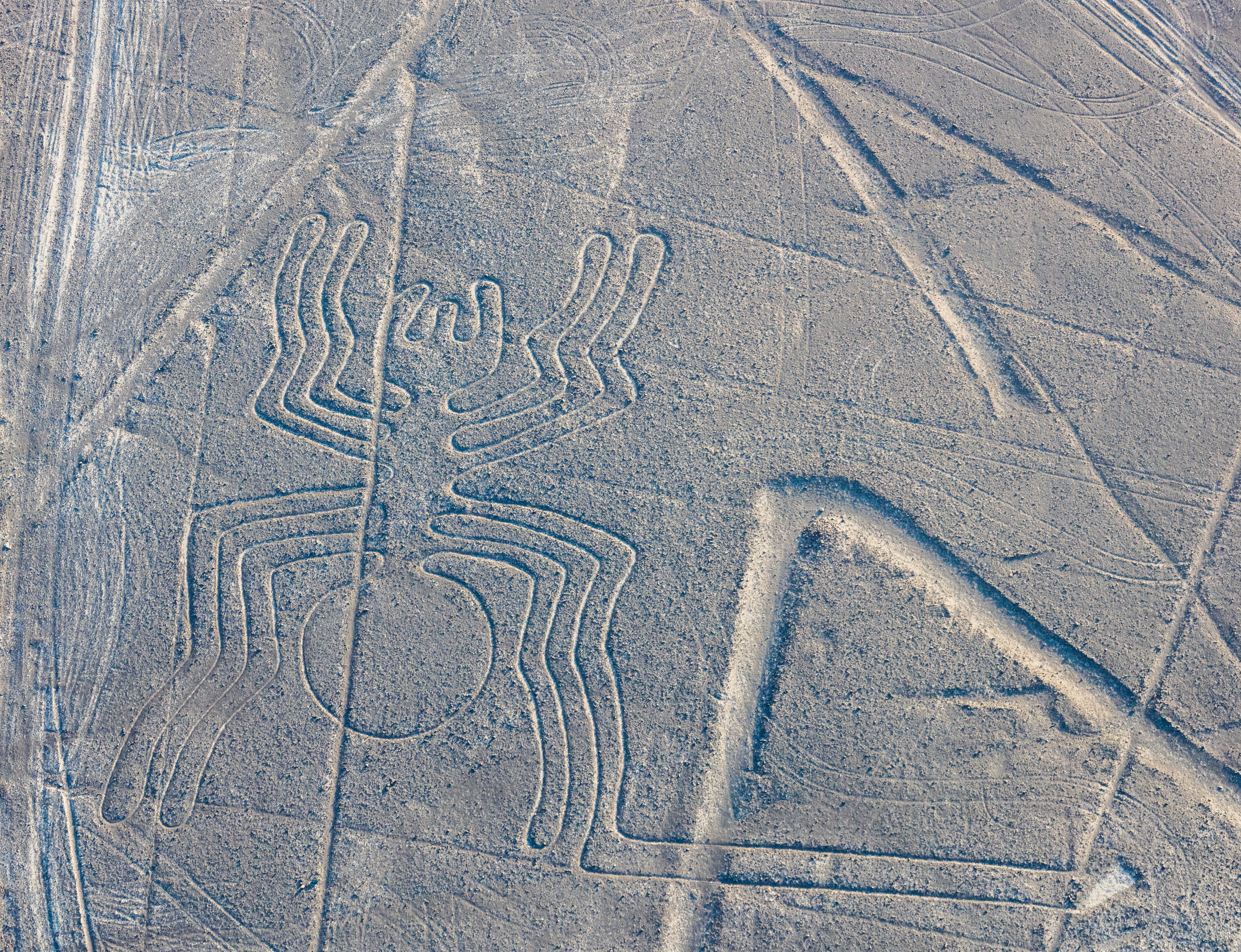Líneas de Nazca, Nazca, Perú, 2015-07-29, DD 54