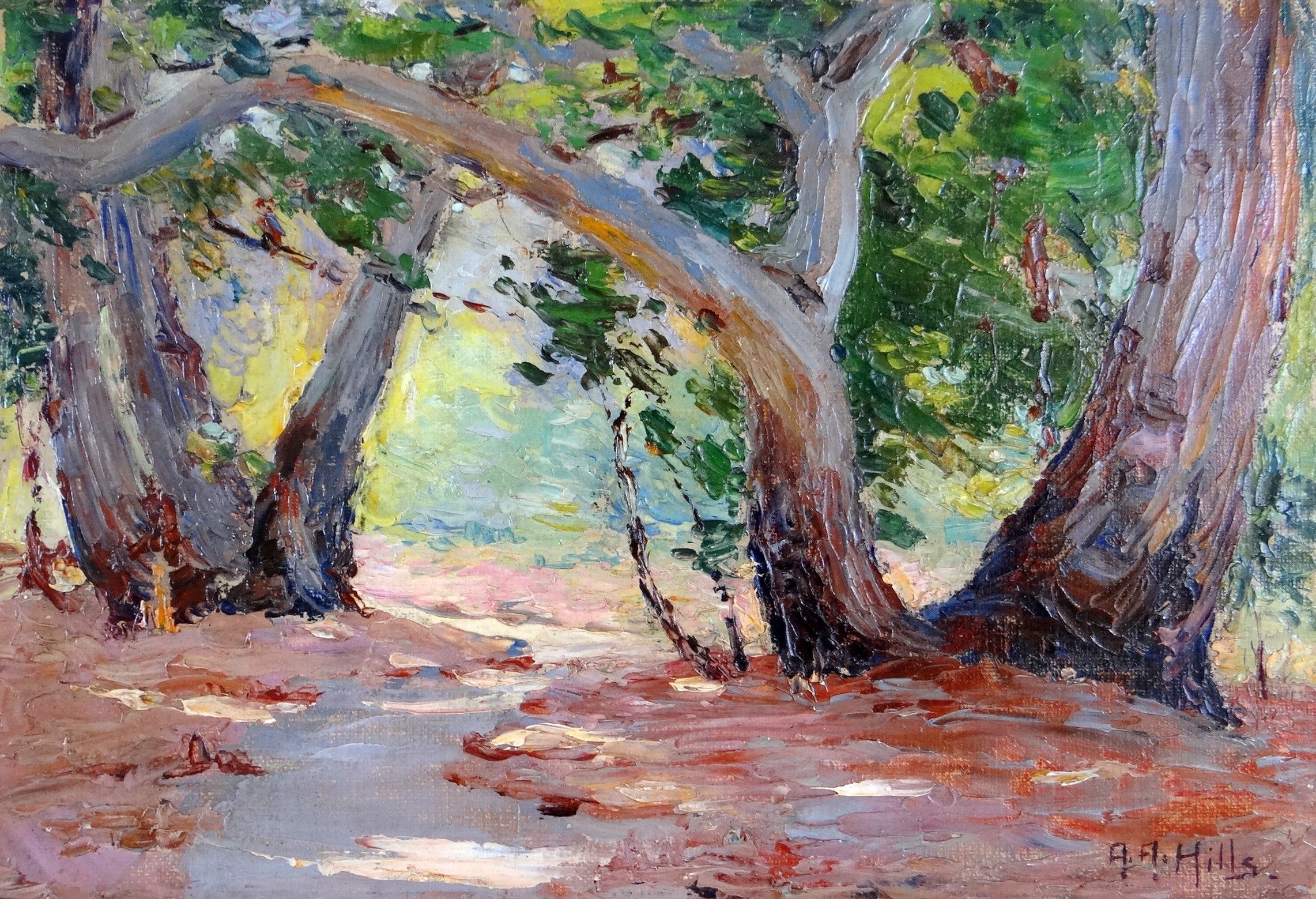 'Sunshine & Shadow-Orange Co. Park, California' by Anna Althea Hills, 1915