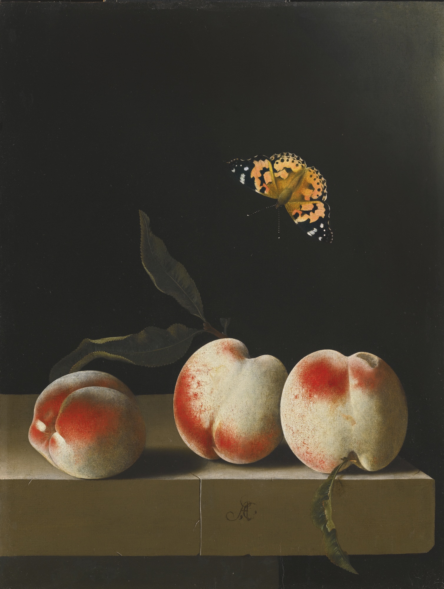 Adriaen Coorte - Three peaches on a stone ledge with a Painted Lady butterfly
