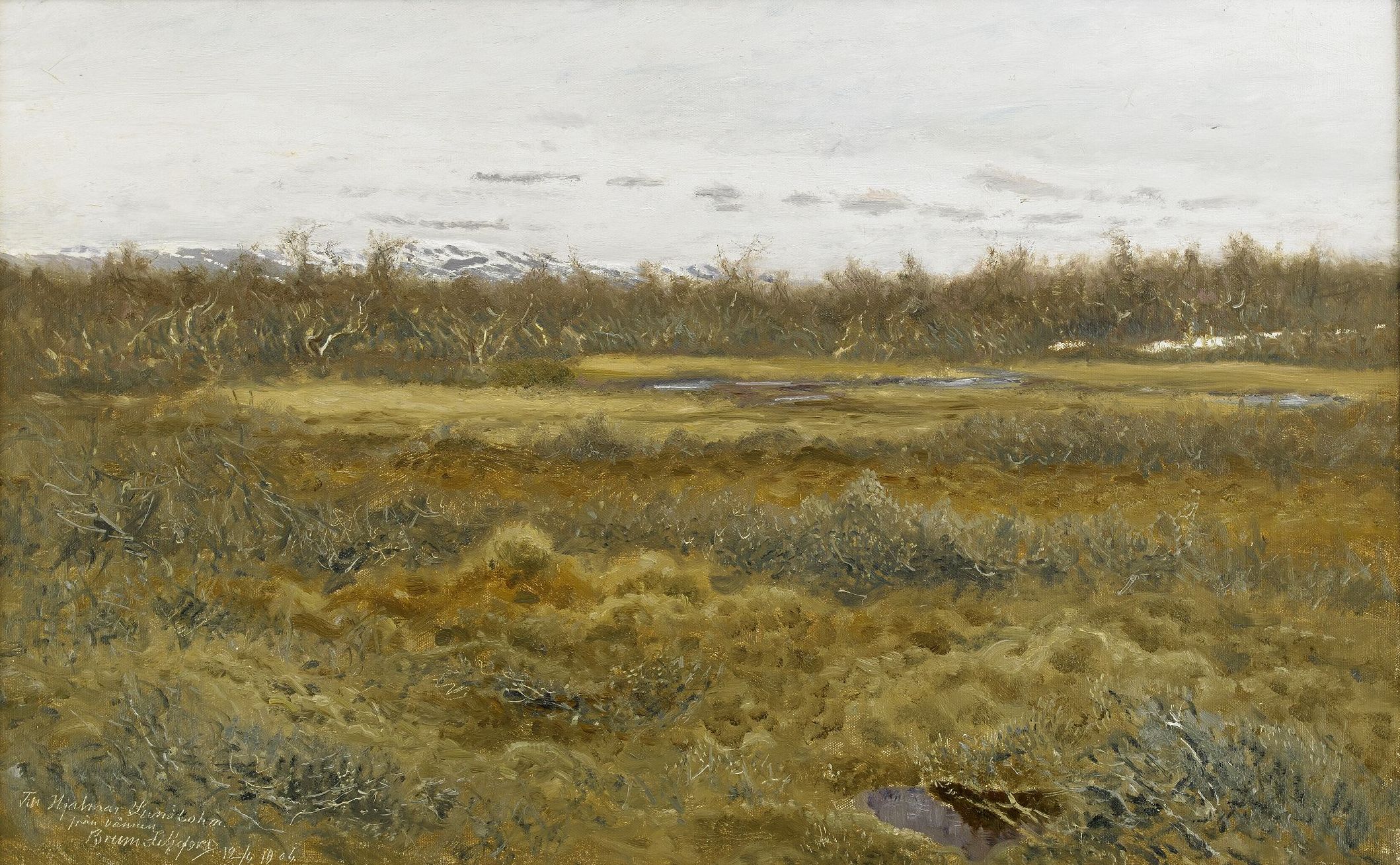 Bruno Liljefors - Landscape with fell 1904