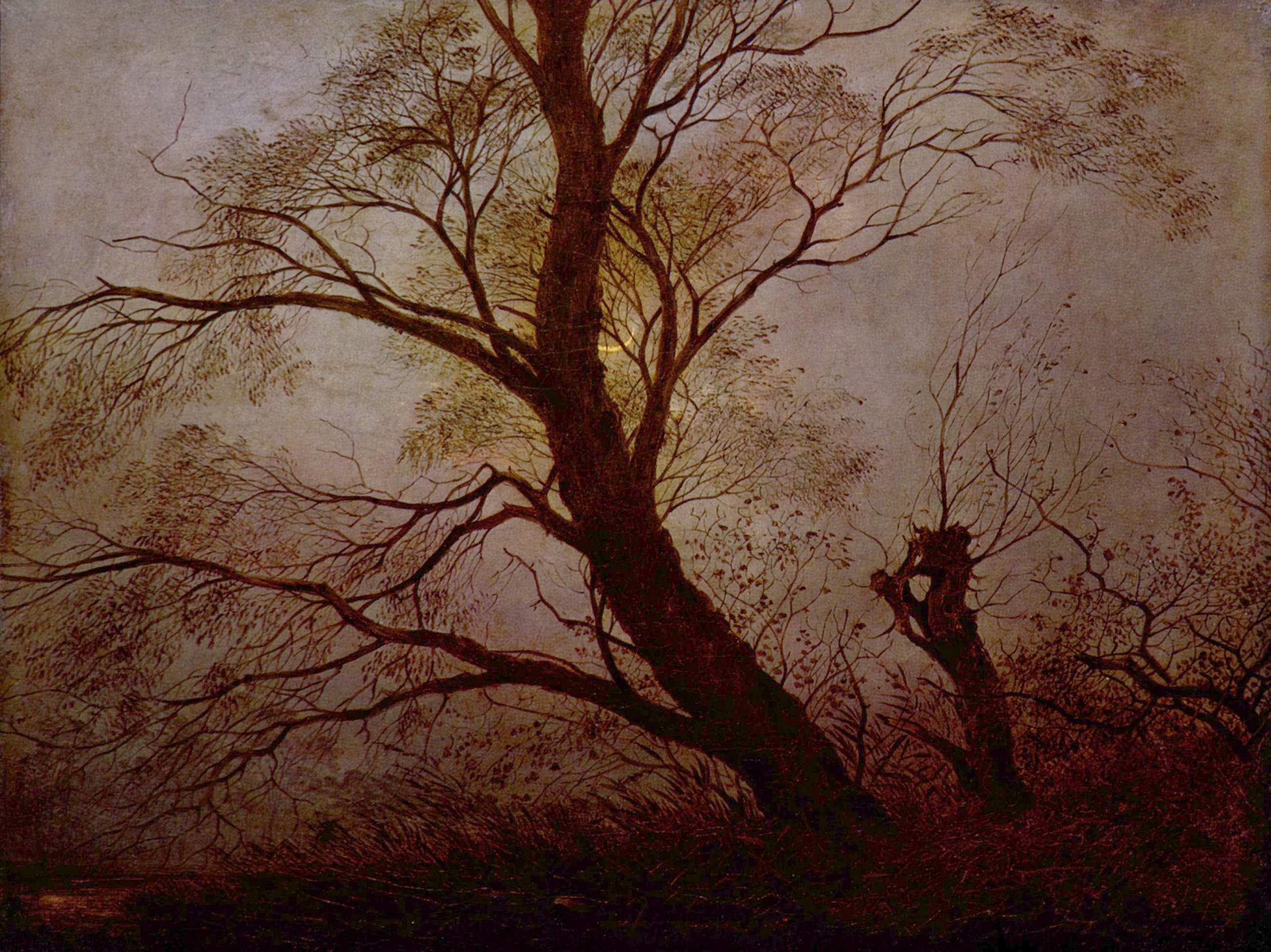 Carl Julius von Leypold - Bäume im Mondschein