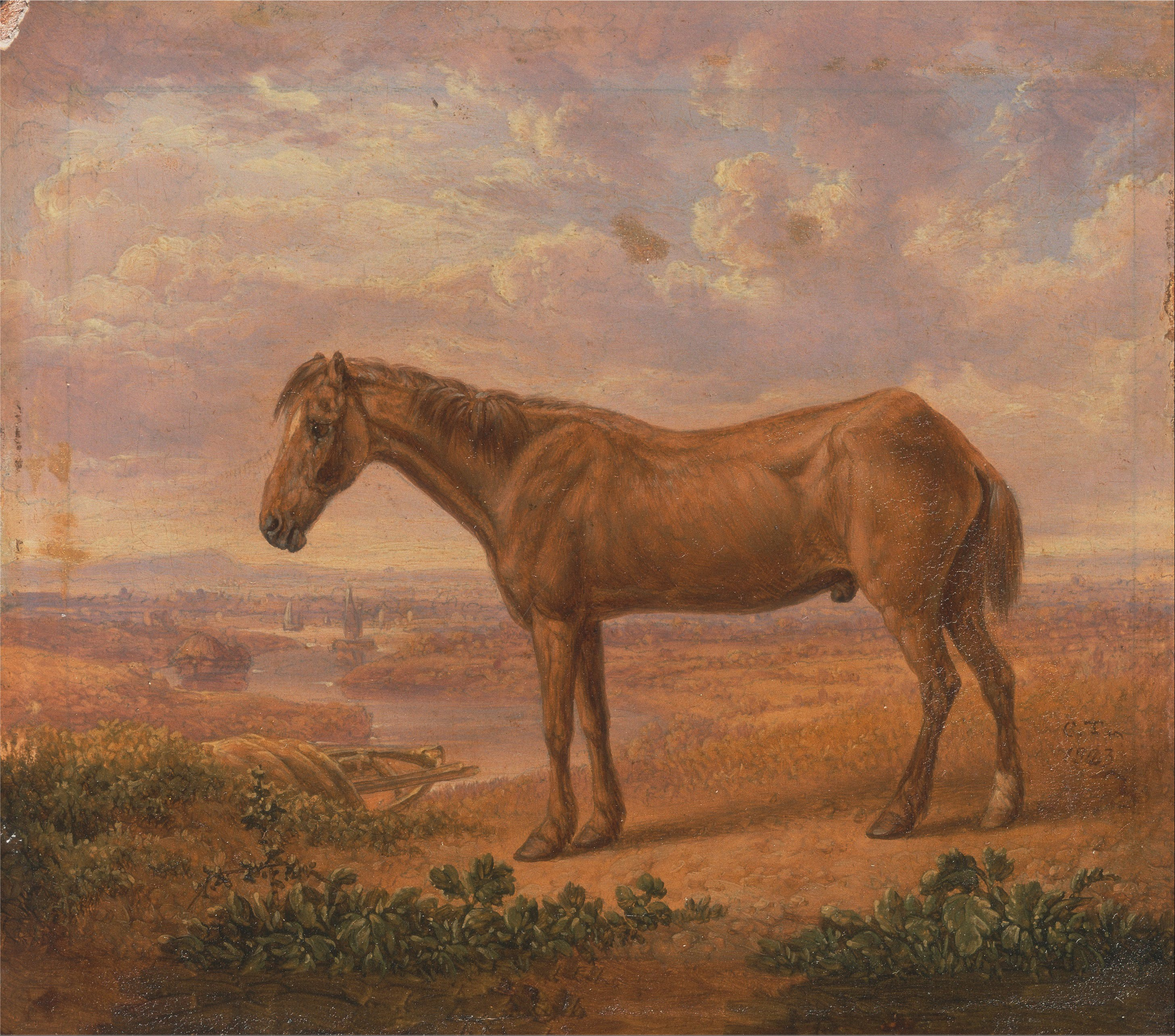 Charles Towne - Old Billy, a Draught Horse, Aged 62 - Google Art Project